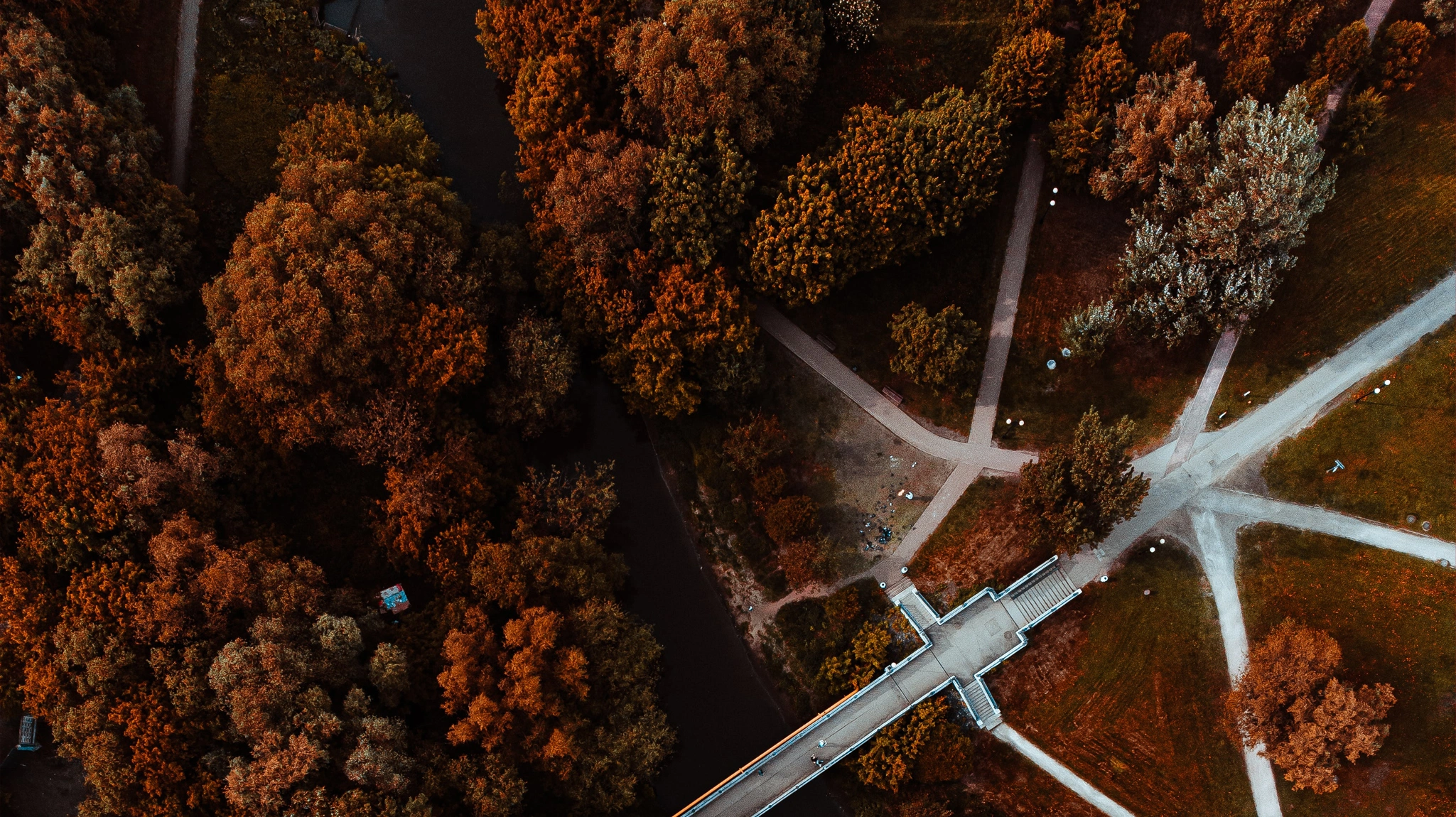 autumn