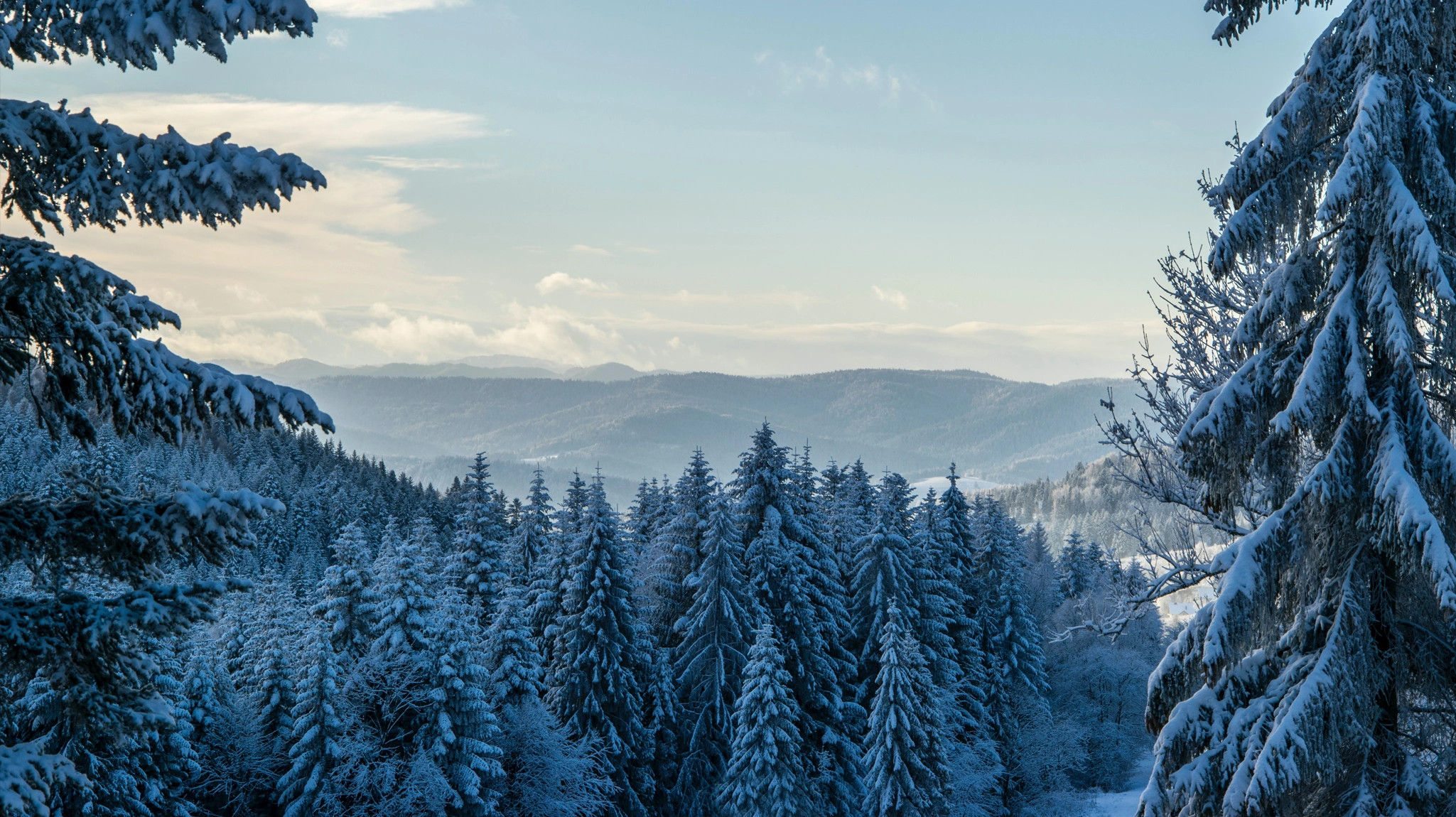 winter